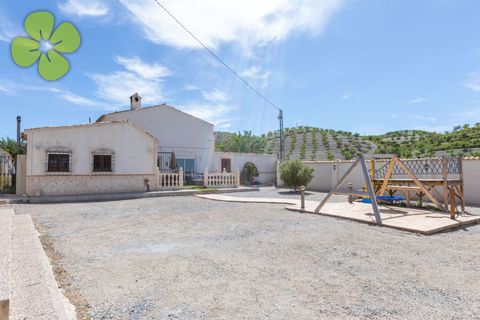 Landejendom i Albox, Almeria, Albox - € 249.995 | Ref: CRE-2706 - foto 26