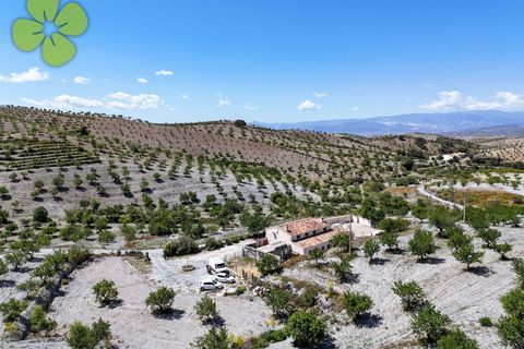 Landejendom i Albox, Almeria, Albox - € 249.995 | Ref: CRE-2706 - foto 29