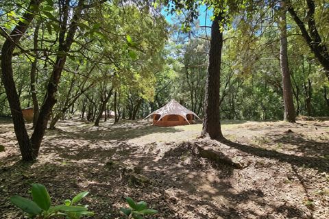 Villa i Uzes, Gard, Uzes - € 840.000 | Ref: HH-16181624 - foto 16