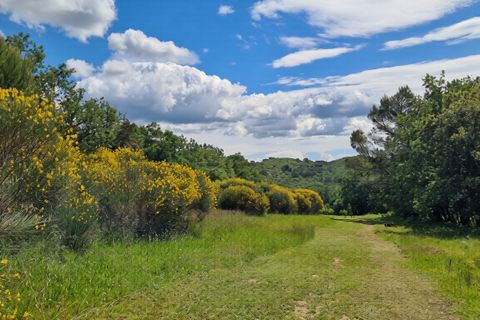 Villa i Uzes, Gard, Uzes - € 840.000 | Ref: HH-16181624 - foto 18