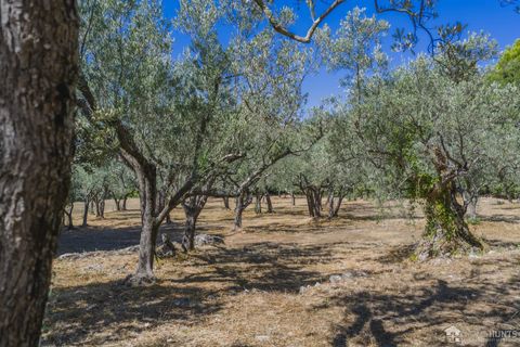 Villa i Callas, Var, Callas - € 1.895.000 | Ref: HH-16177632 - foto 11