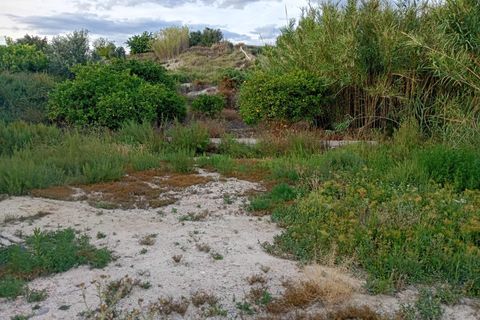 Helårsgrund i Archena, Murcia, Archena - € 120.000 | Ref: EXP14422/8930 - foto 8