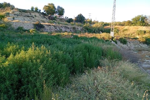 Helårsgrund i Archena, Murcia, Archena - € 120.000 | Ref: EXP14422/8930 - foto 29