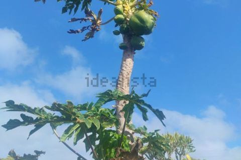 Villa i Arrieta, Lanzarote, Arrieta - € 379.000 | Ref: es5555058 - foto 33