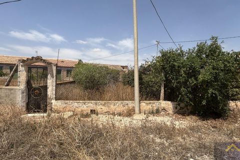 Finca in Los Martinez Del Puerto, Murcia - Foto 2