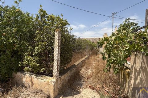 Finca in Los Martinez Del Puerto, Murcia - Foto 3