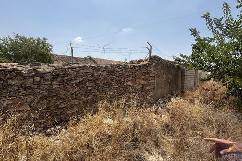 Finca in Los Martinez Del Puerto, Murcia - Foto 5