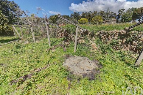 Terra a Serta, Castelo Branco, Serta - € 22.000 | Ref: 920369 - foto 2