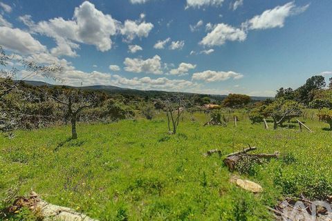 Terra a Serta, Castelo Branco, Serta - € 22.000 | Ref: 920369 - foto 3