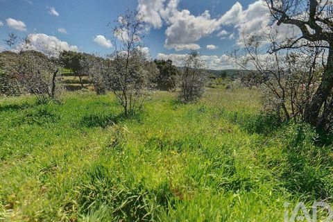 Terra a Serta, Castelo Branco, Serta - € 22.000 | Ref: 920369 - foto 4