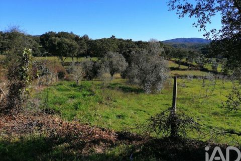 Terra a Serta, Castelo Branco, Serta - € 22.000 | Ref: 920369 - foto 5