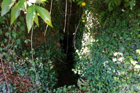 Terra a Serta, Castelo Branco, Serta - € 22.000 | Ref: 920369 - foto 6