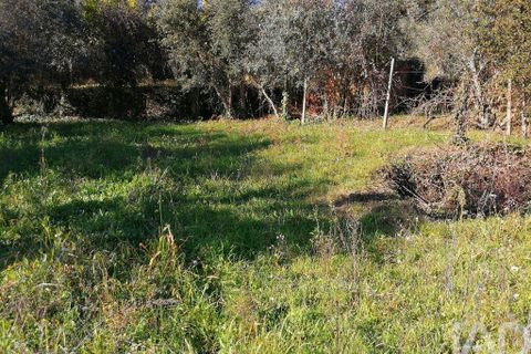 Terra a Serta, Castelo Branco, Serta - € 22.000 | Ref: 920369 - foto 7