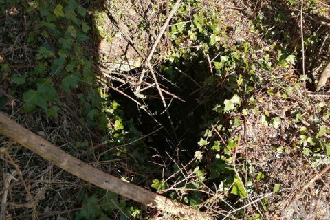 Terra a Serta, Castelo Branco, Serta - € 22.000 | Ref: 920369 - foto 8