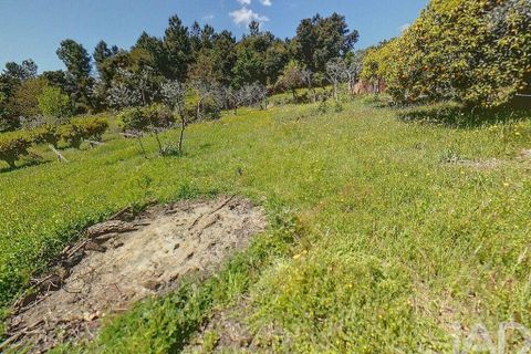 Terra a Serta, Castelo Branco, Serta - € 22.000 | Ref: 920369 - foto 9
