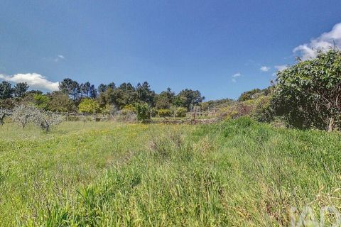 Terra a Serta, Castelo Branco, Serta - € 22.000 | Ref: 920369 - foto 11