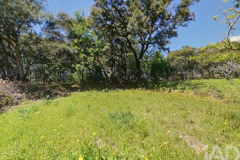 Terra a Serta, Castelo Branco, Serta - € 22.000 | Ref: 920369 - foto 12