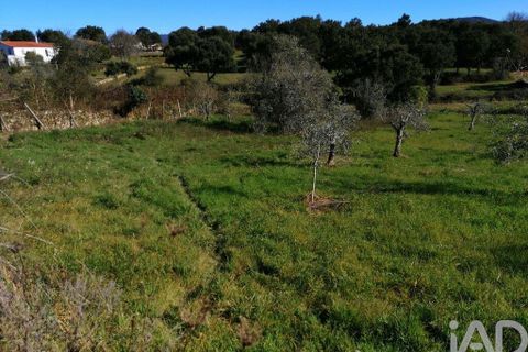 Terra a Serta, Castelo Branco, Serta - € 22.000 | Ref: 920369 - foto 13