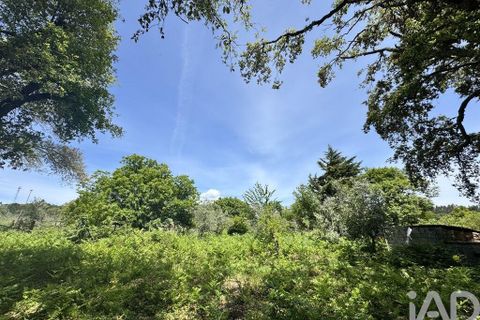 Terra a Serta, Castelo Branco, Serta - € 22.000 | Ref: 920369 - foto 14