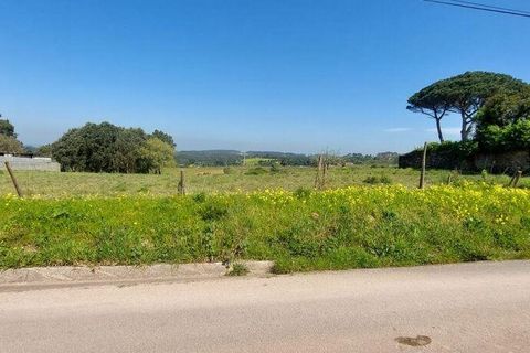 Helårsgrund i Alcobaca, Leiria, Alcobaca - € 85.000 | Ref: 925168 - foto 2