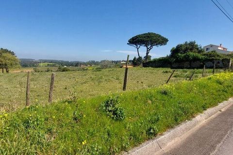 Helårsgrund i Alcobaca, Leiria, Alcobaca - € 85.000 | Ref: 925168 - foto 4