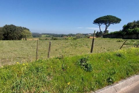 Helårsgrund i Alcobaca, Leiria, Alcobaca - € 85.000 | Ref: 925168 - foto 5
