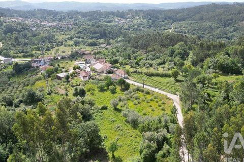 Terra a Penela, Coimbra, Penela - € 33.500 | Ref: 923405 - foto 2