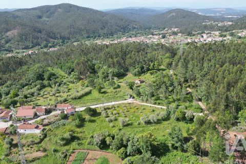 Terra a Penela, Coimbra, Penela - € 33.500 | Ref: 923405 - foto 5