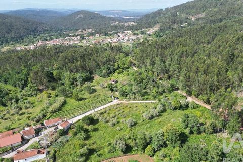 Terra a Penela, Coimbra, Penela - € 33.500 | Ref: 923405 - foto 6
