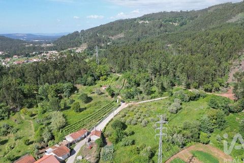 Terra a Penela, Coimbra, Penela - € 33.500 | Ref: 923405 - foto 7