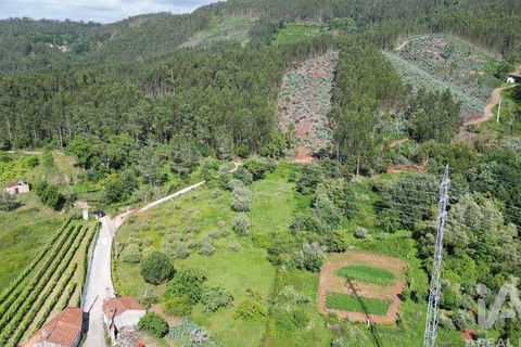 Terra a Penela, Coimbra, Penela - € 33.500 | Ref: 923405 - foto 8