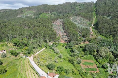 Terra a Penela, Coimbra, Penela - € 33.500 | Ref: 923405 - foto 9