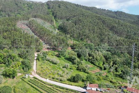 Terra a Penela, Coimbra, Penela - € 33.500 | Ref: 923405 - foto 10