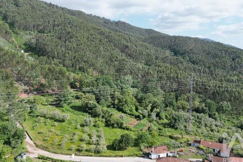 Terra a Penela, Coimbra, Penela - € 33.500 | Ref: 923405 - foto 11