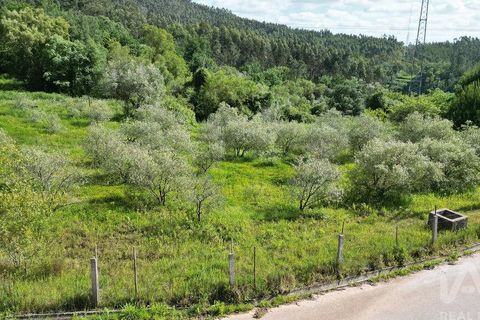 Terra a Penela, Coimbra, Penela - € 33.500 | Ref: 923405 - foto 12