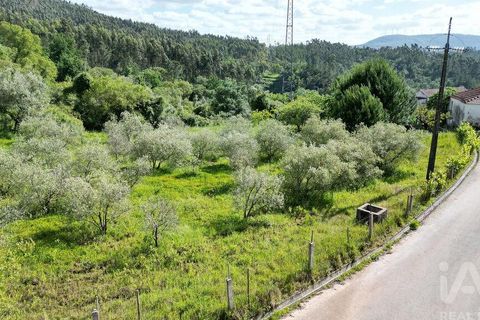 Terra a Penela, Coimbra, Penela - € 33.500 | Ref: 923405 - foto 13