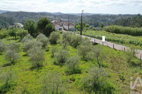 Terra a Penela, Coimbra, Penela - € 33.500 | Ref: 923405 - foto 14
