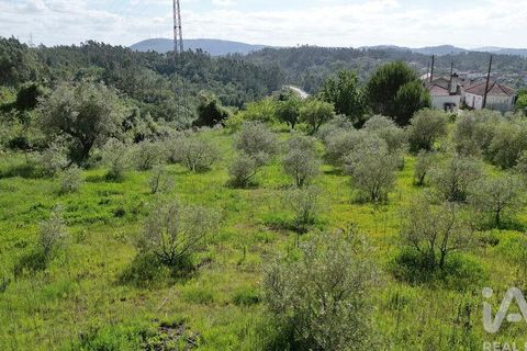 Terra a Penela, Coimbra, Penela - € 33.500 | Ref: 923405 - foto 15
