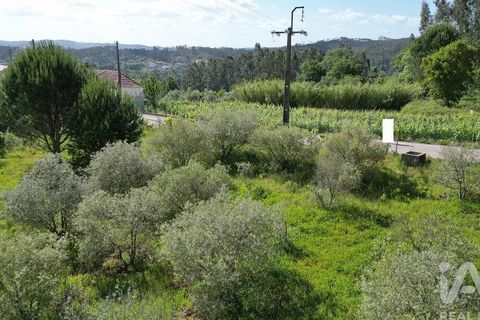 Terra a Penela, Coimbra, Penela - € 33.500 | Ref: 923405 - foto 16