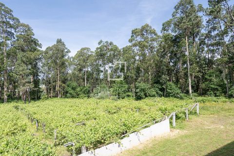 Villa a Meano, Pontevedra, Meano - € 400.000 | Ref: VIG68028 - foto 27