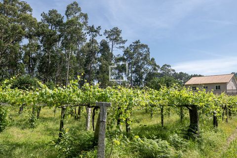 Villa a Meano, Pontevedra, Meano - € 400.000 | Ref: VIG68028 - foto 31