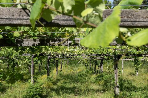 Villa a Meano, Pontevedra, Meano - € 400.000 | Ref: VIG68028 - foto 32