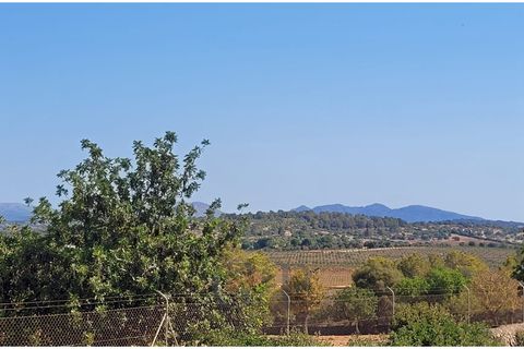 Terra a Manacor, Mallorca, Manacor - € 390.000 | Ref: G&amp;amp;P_001367 - foto 4
