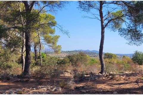 Terra a Manacor, Mallorca, Manacor - € 390.000 | Ref: G&amp;amp;P_001367 - foto 12