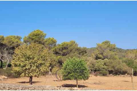 Terra a Manacor, Mallorca, Manacor - € 390.000 | Ref: G&amp;amp;P_001367 - foto 15