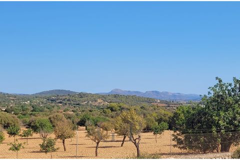 Terra a Manacor, Mallorca, Manacor - € 390.000 | Ref: G&amp;amp;P_001367 - foto 16