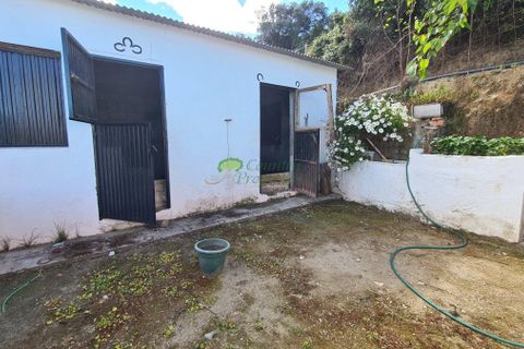 Landejendom i Competa, Malaga, Competa - € 70.000 | Ref: 8019 - foto 13
