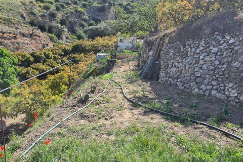 Landejendom i Competa, Malaga, Competa - € 70.000 | Ref: 8019 - foto 21