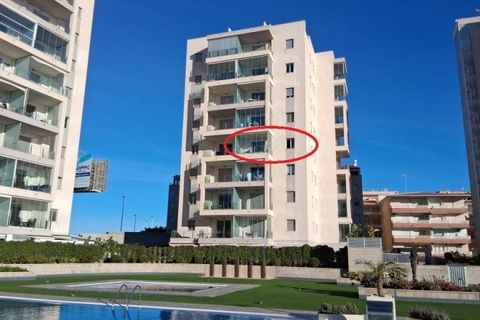 Leilighet i Torrevieja, Alicante, Torrevieja - € 339 995 | Ref: MLSC6731256/13477 - foto 9