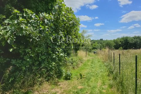 Villa i Gensac, Gironde, Gensac - € 349.900 | Ref: CJP011 - foto 23
